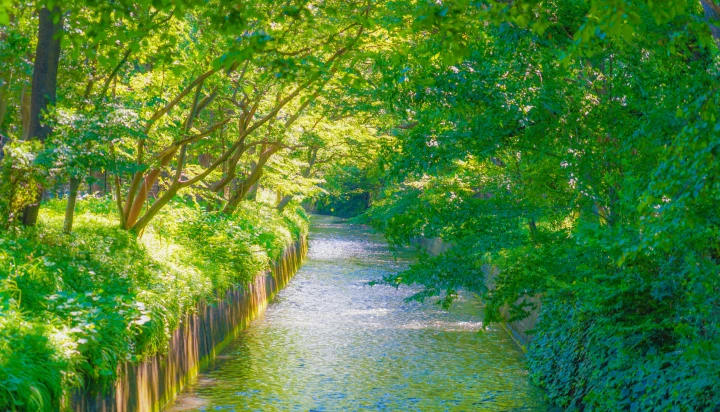 玉川上水