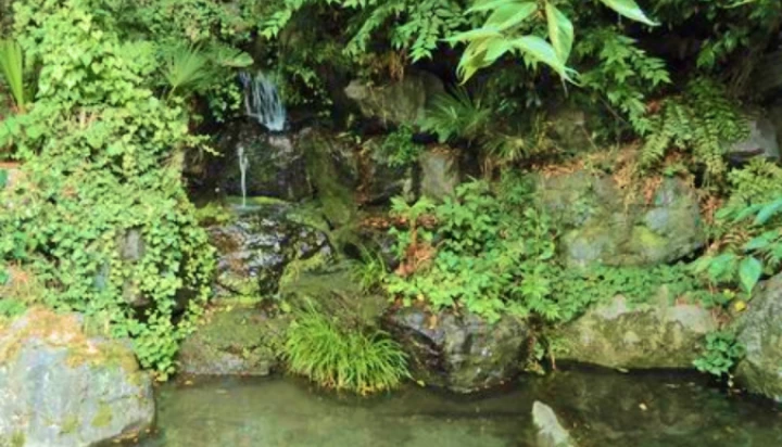龍津寺の湧水