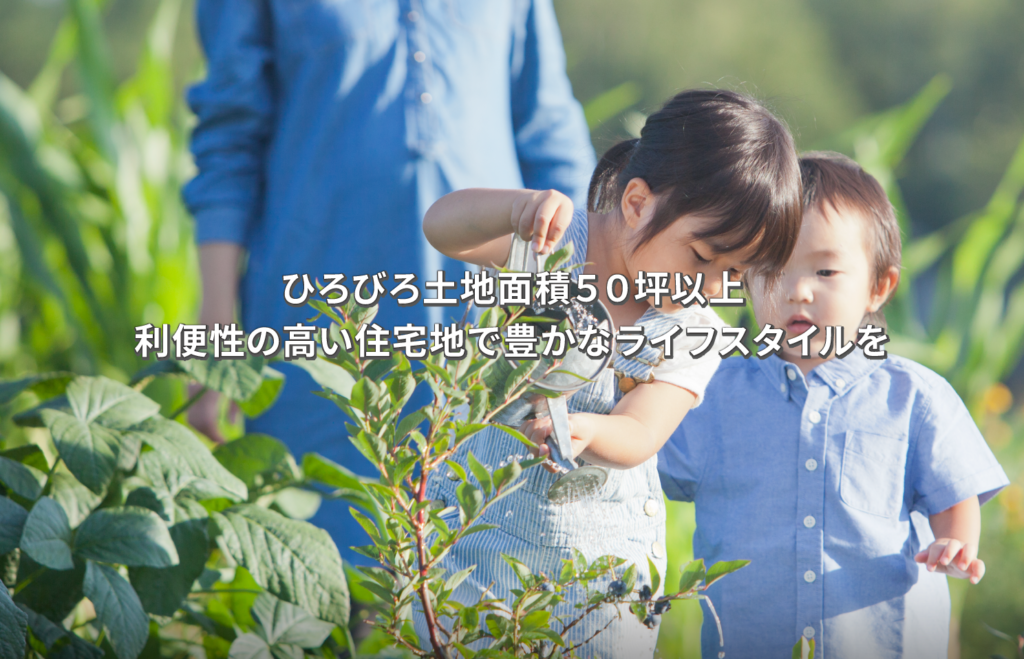 article_img